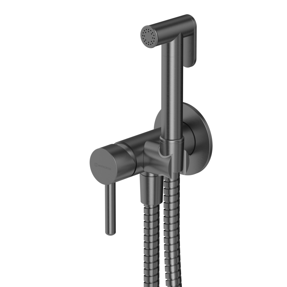 Смесители Система для биде скрытого монтажа SYSYBI2GM (оружейная сталь) 