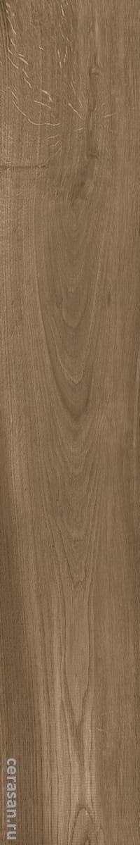 Taiga Cocoa Matt Shape