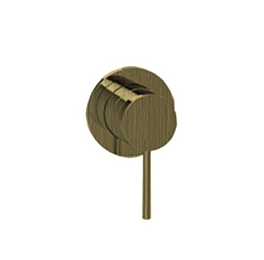 Смесители Смеситель для душа, внешняя часть, латунь шлифованная 