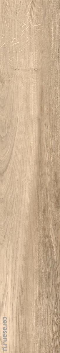 Taiga Haya Matt Shape