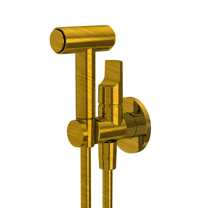 Смесители Гигиенический душ, настенный, со шлангом 120 см, цвет брашированное золото(внешняя часть смесителя ) 