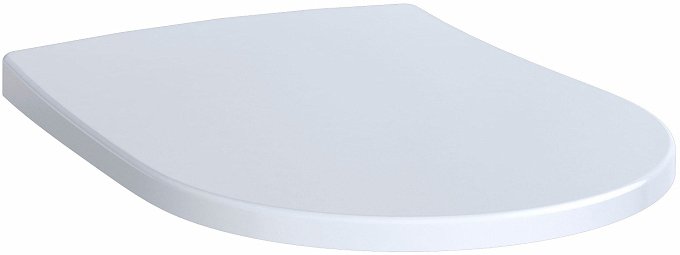 Сиденье для унитаза, петли с микролифтом