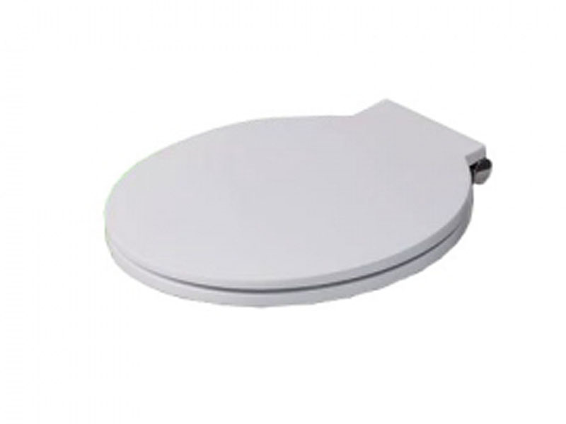 Комплектующие Cиденье для унитаза с микролифтом 