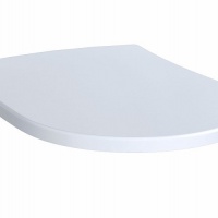 Сиденья для унитазов Сиденье и крышка для унитаза 