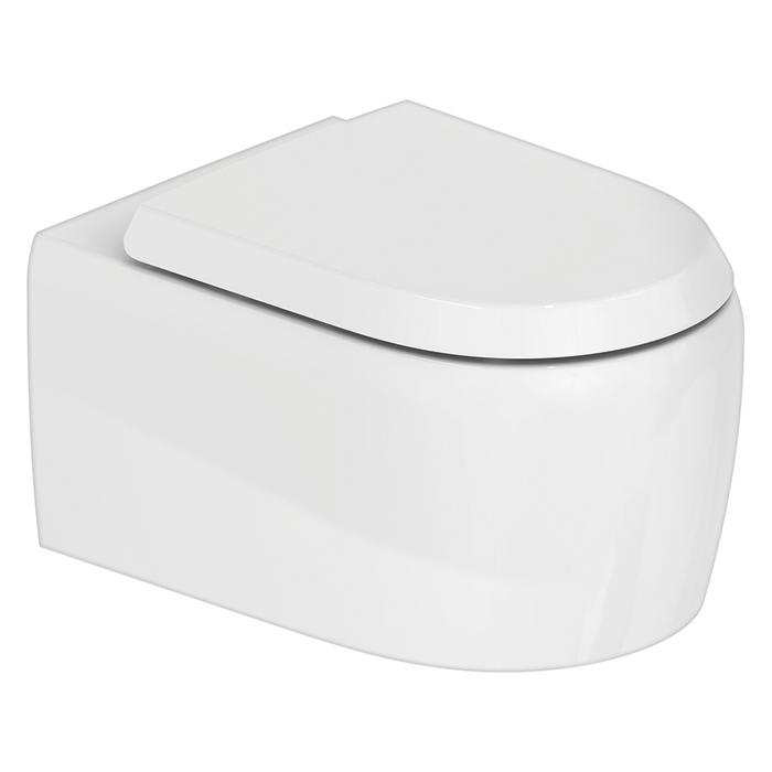 Унитазы Унитаз подвесной безободковый 370х570 мм, с креплением Durafix и петлями из нержавеющей стали, цвет белый 