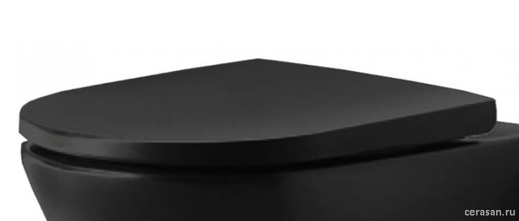 Сиденье для унитаза, цвет антрацит матовый (аналог 0021691300)