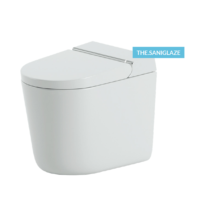 Унитазы-биде Унитаз-биде, белый 