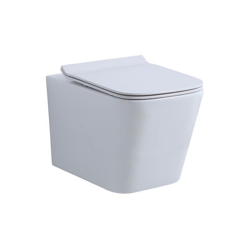 Унитазы Белый матовый подвесной унитаз 530*360*360, TORNADO смыв, c крышкой-сиденьем Soft close 