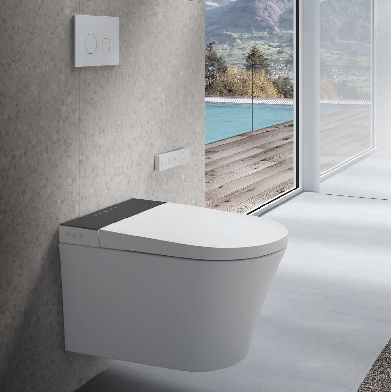 Унитазы-биде Унитаз подвесной в комплекте с крышкой-биде 