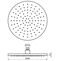 Душевая программа Верхний душ O 300 мм, нержавеющая сталь шлифованная 