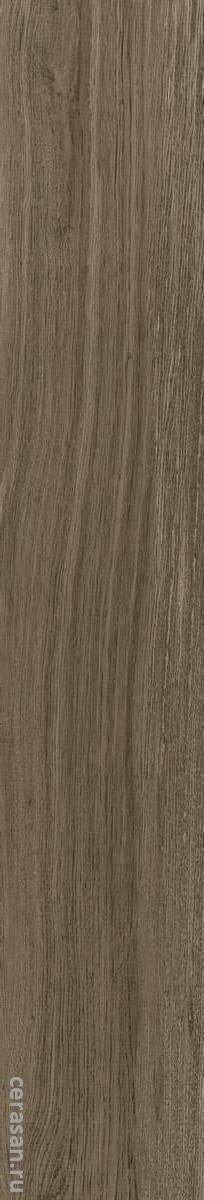 Taiga Roble Matt Shape