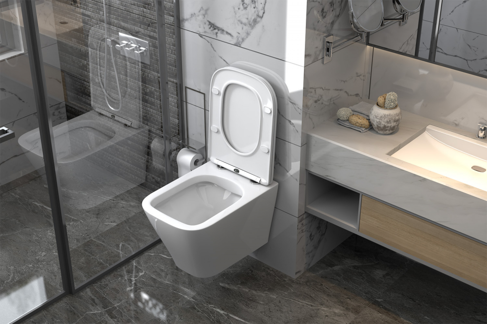 Унитазы Унитаз подвесной белый, безободковый 