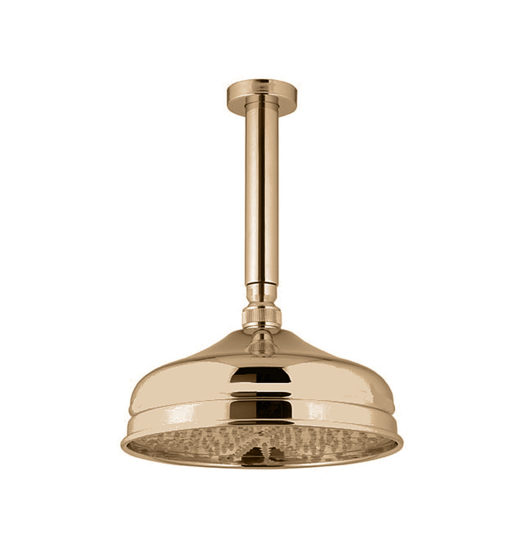 Душевая программа Лейка верхнего душа 