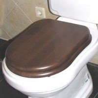 Сиденья для унитазов Сиденье с крышкой для унитаза (Орех - Золото) 