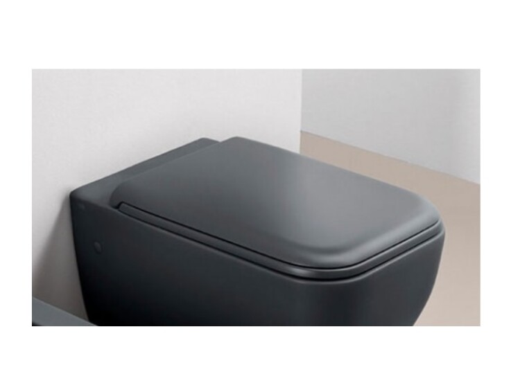 Сиденье для унитаза, цвет Черный глянцевый