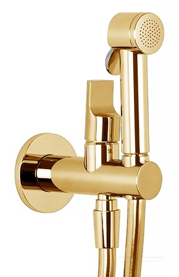 Смесители Душ гигиенический Collettivita : умный смеситель, встроенный держатель, лейка - душ/гидроёршик, шланг 1200 мм, цвет золото F2320/1NOR + скрытая часть F2645 
