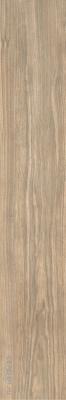 Керамогранит и плитка Керамогранит walnut gold terra 20x120 натуральный 