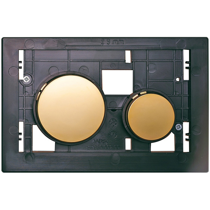 Системы инсталляции клавиши TECEloop для панели смыва унитаза, позолоченные 