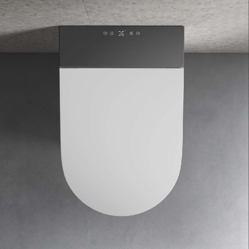 Унитазы-биде Унитаз подвесной в комплекте с крышкой-биде 