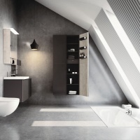 Мебель для ванной Acanto 500.619.JK.2 Шкаф - пенал 