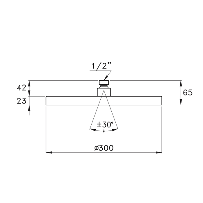 Душевая программа Верхний душ D300 мм, цвет антрацит PVD 