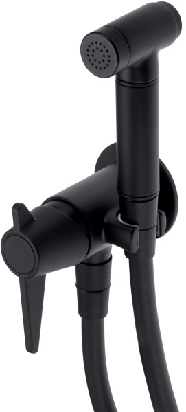 TEMISTO Смеситель встраиваемый с гиг. душем (черный)