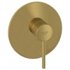 Смесители Смеситель для душа, золото брашированное