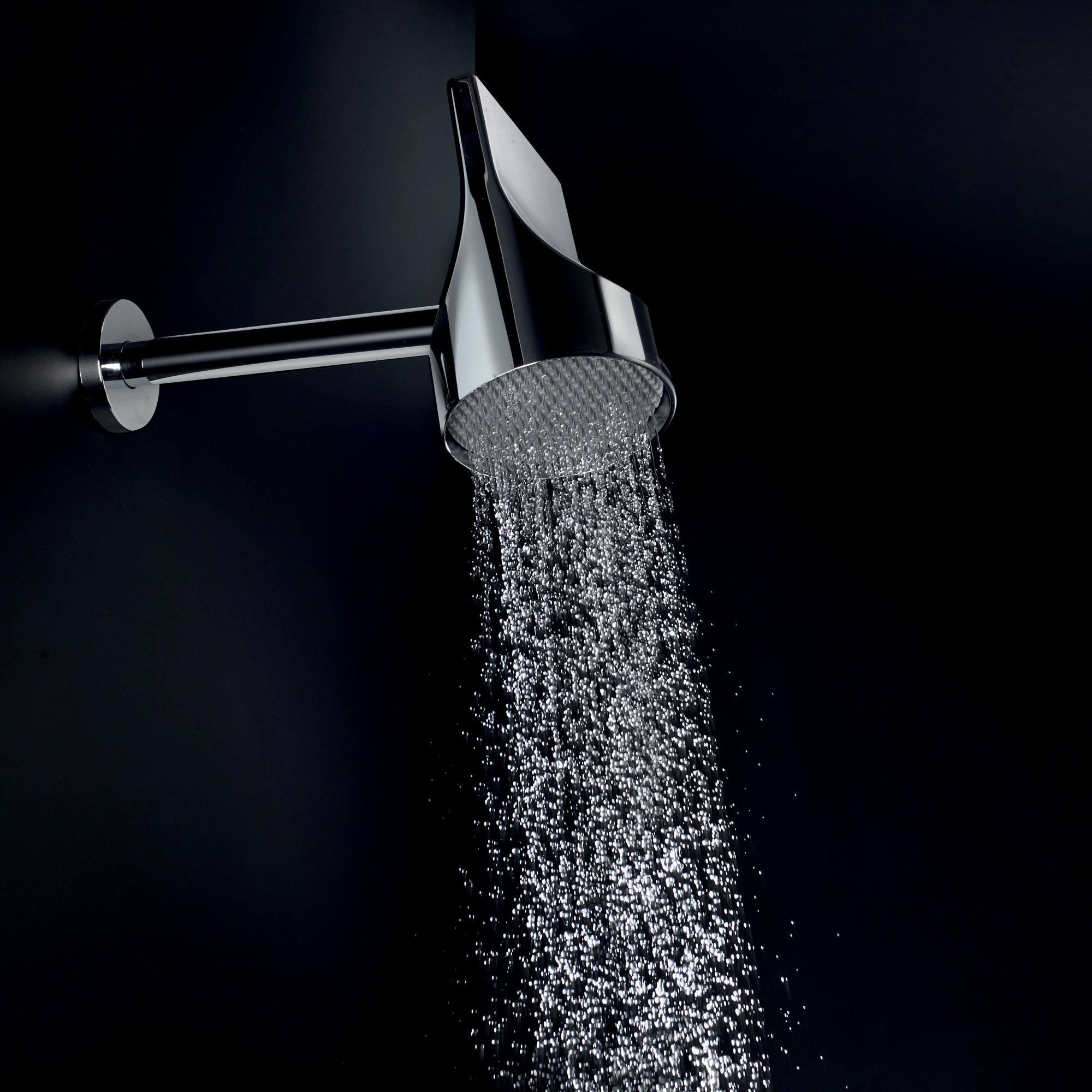 Душевая программа Душевая лейка D100 мм, с поворотным держателем, хром 