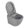 Унитазы Унитаз подвесной серый матовый, безободковый