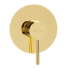 Смесители Смеситель для душа, золото