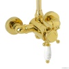 Смесители Смеситель для душа, золото