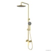 Душевая программа Душевая колонна, смеситель для душа на 2 потока Верхний душ (латунь) 25 см