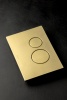 Системы инсталляции Кнопка для инсталляции, нерж.сталь ультраплоская Matt Gold