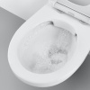 Grohe  Bau ceramic 39429000 - унитаз компакт безободковый | чаша унитаза (белый глянцевый) 39429000